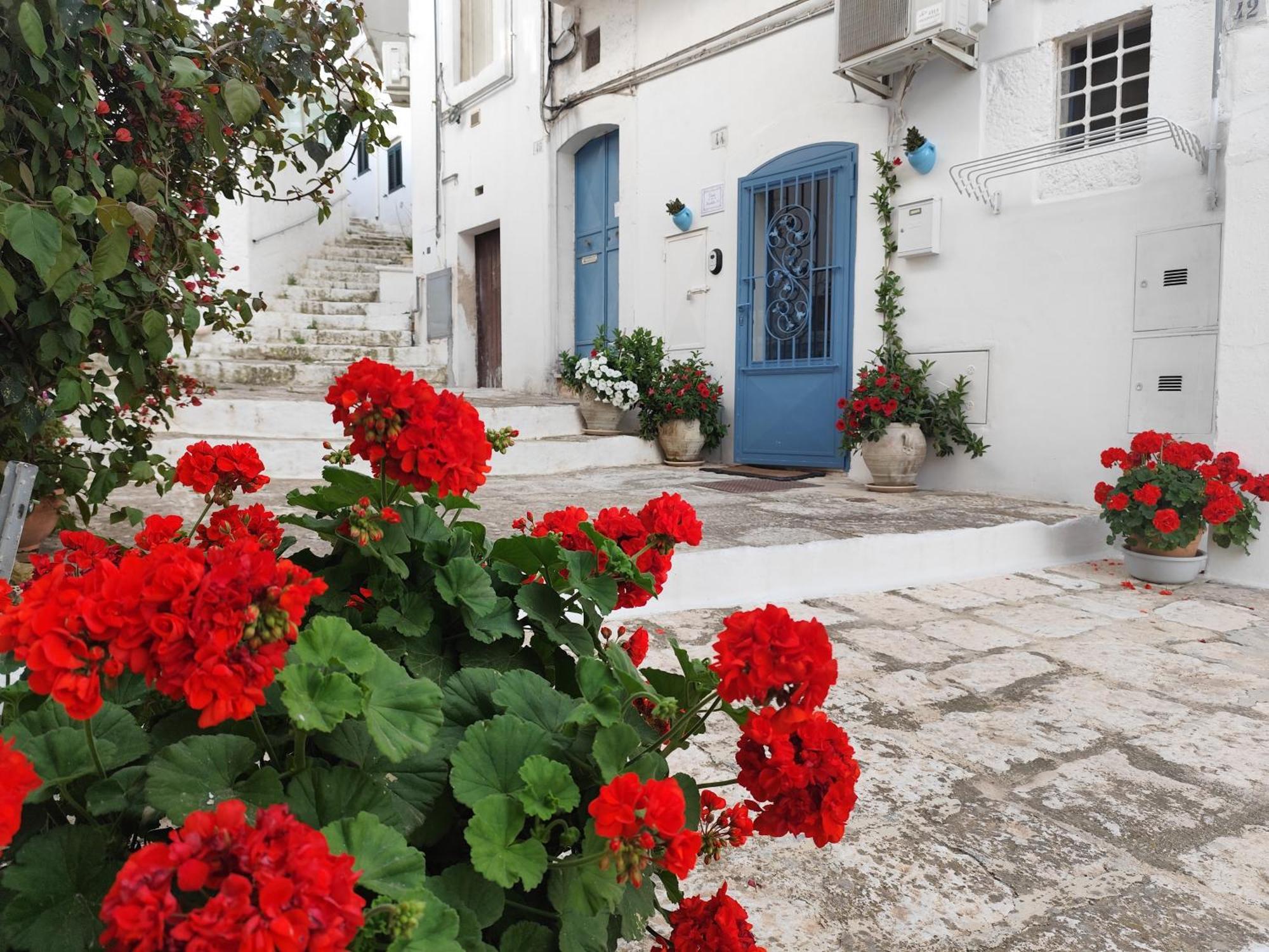 Casa Mirabilis 44 Villa Ostuni Exterior photo